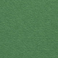 Colorplan Ярко-зеленый